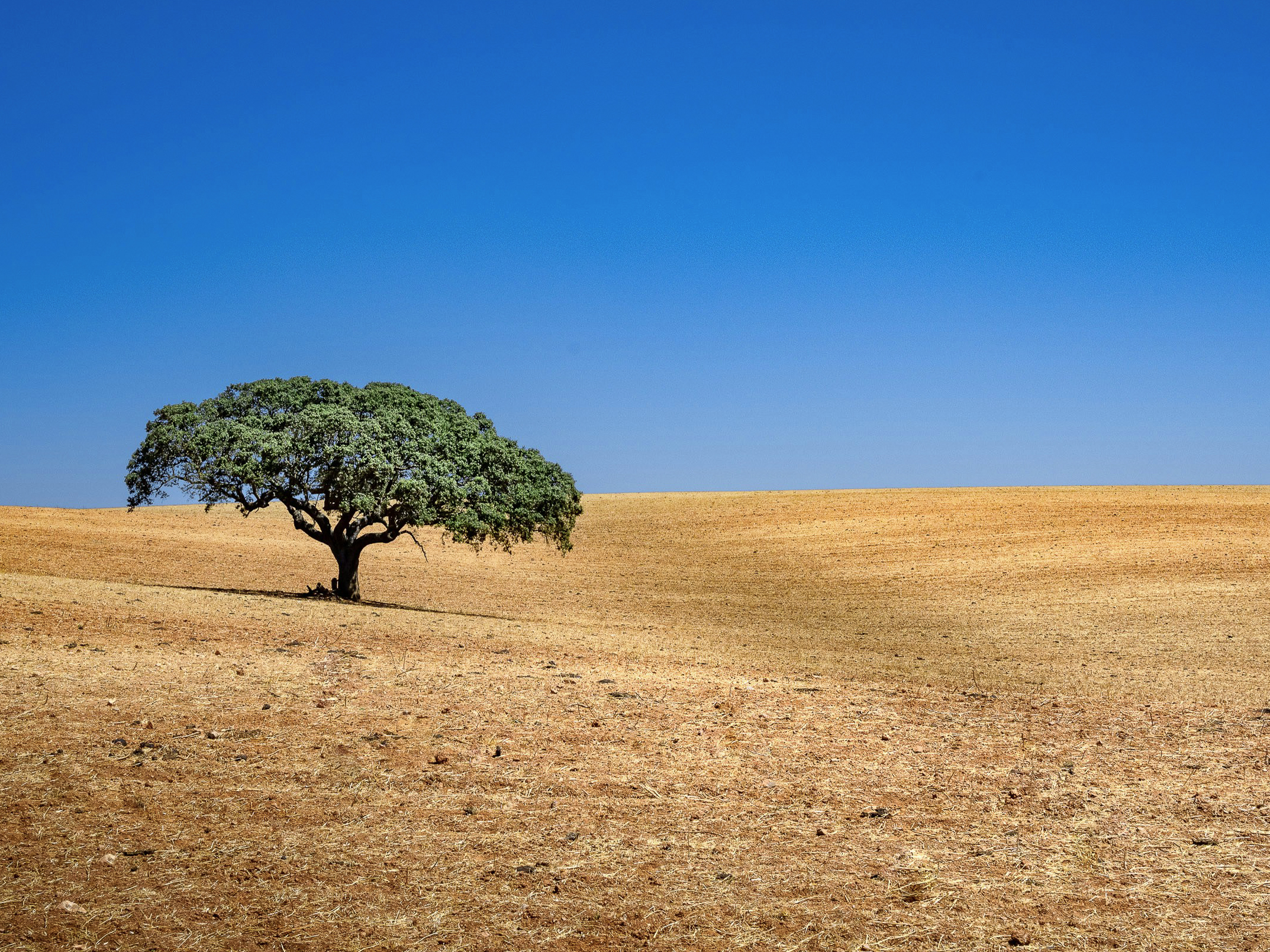 Alentejo